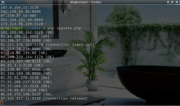spys[dot]ru Proxy Checker [PHP]